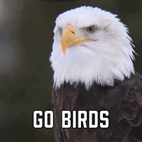 Go Birds!